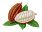 Fotolia_12463272_XS