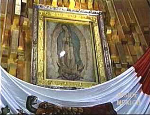 December 12 Our Lady of Guadalupe