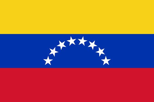 Image result for venezuela flag